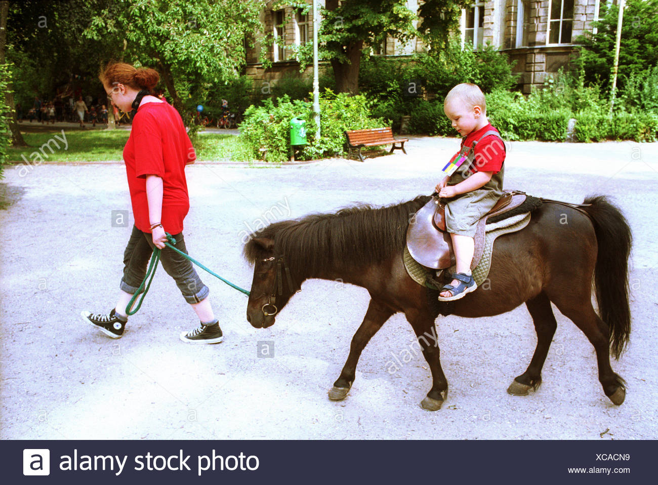 riding little pony