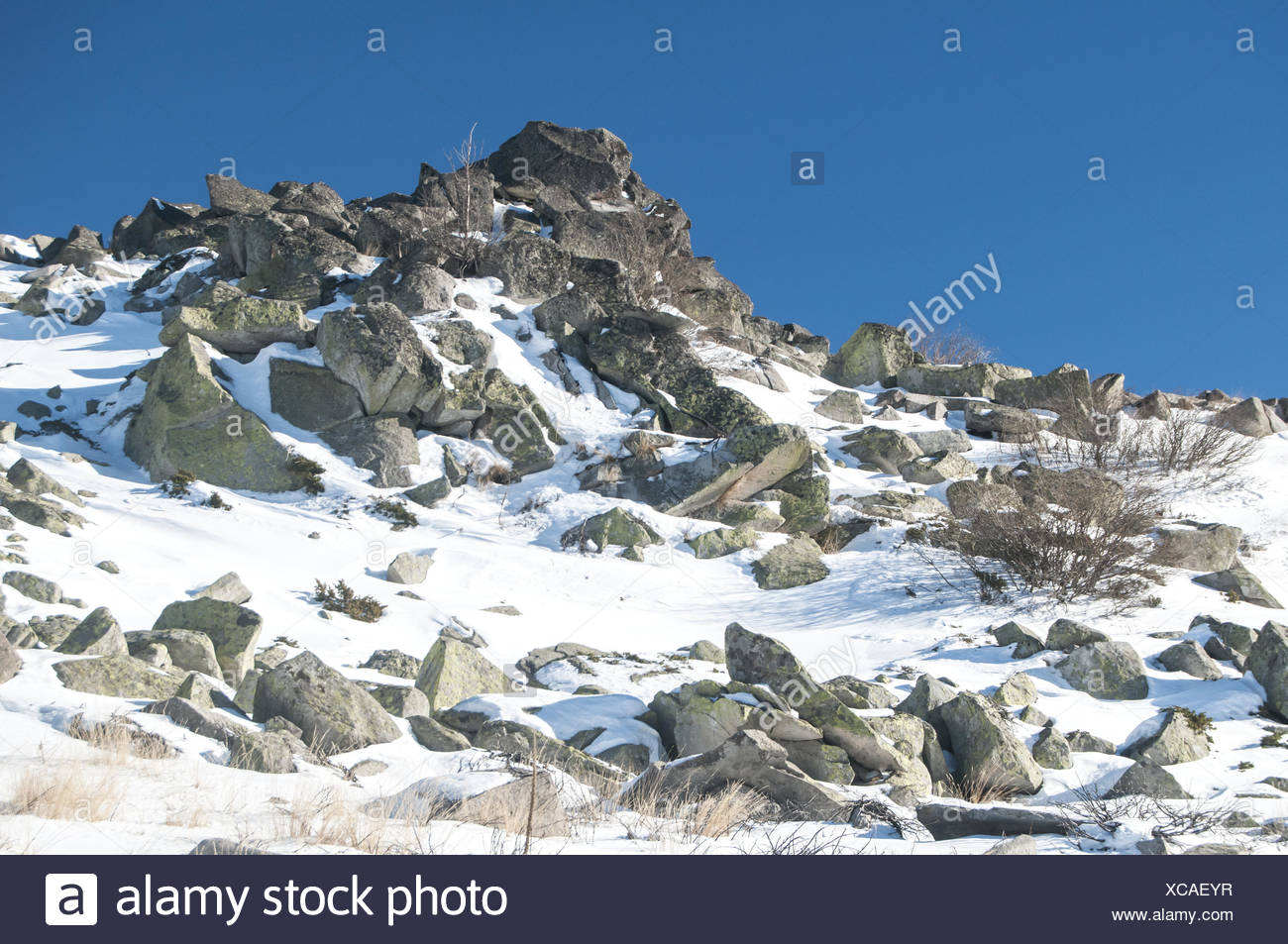 Snowy Mountain Rock Ridge In Clear Sunny Winter Da Stock Photo Alamy Snowy Mountain Rock Ridge In Clear Sunny Winter Da Stock Photo Alamy