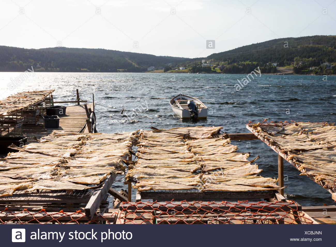 Fishing Racks High Resolution Stock Photography and Images - Alamy