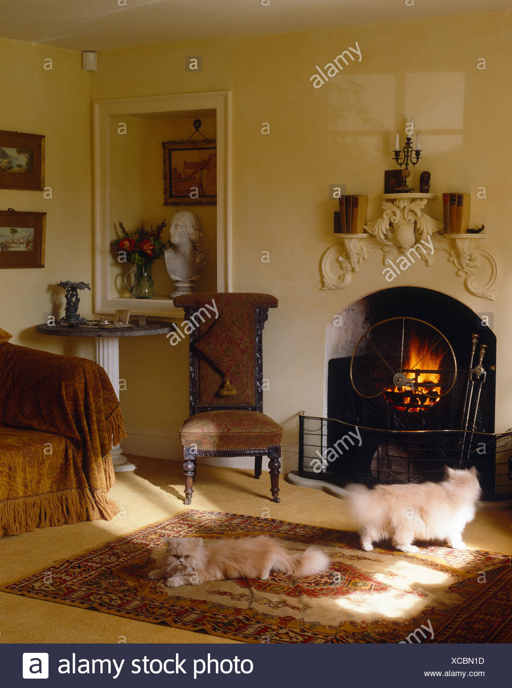 Two Fluffy White Cats On Rug In Front Of Fireplace With Lit Fire