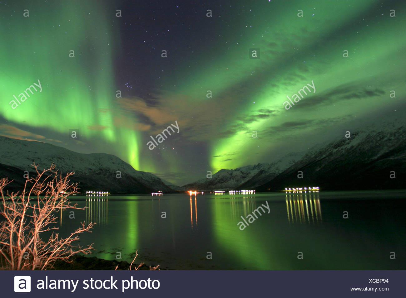 northern light over Kvalya, Norway, Troms, Kvaloeya, Okt 03. Stock Photo