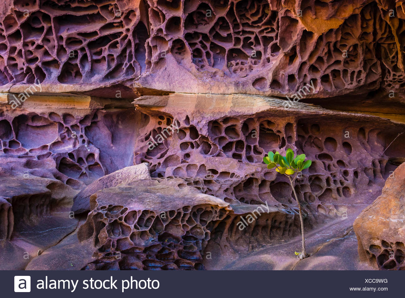 Weathering Stock Photos & Weathering Stock Images