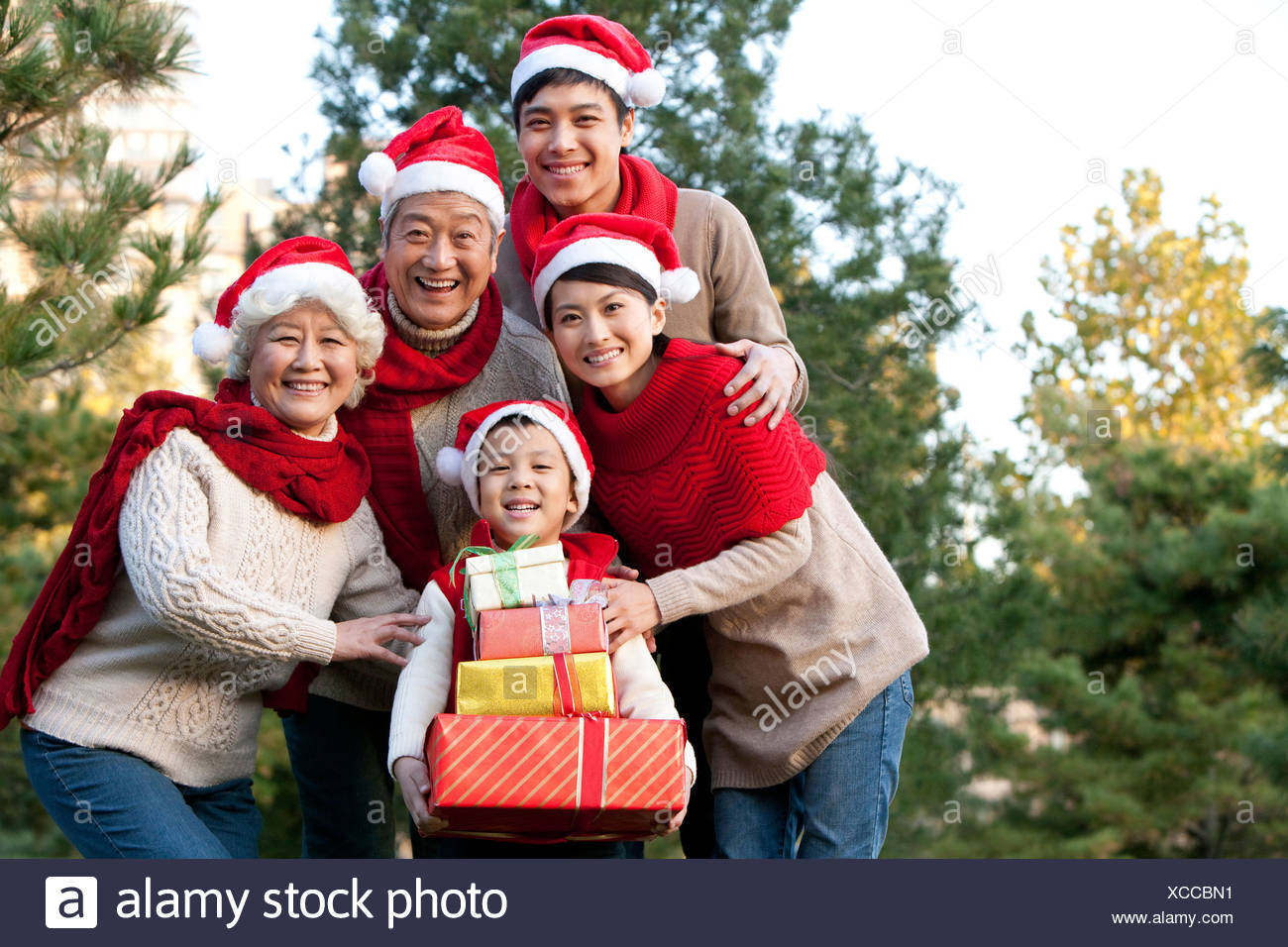 family christmas hats