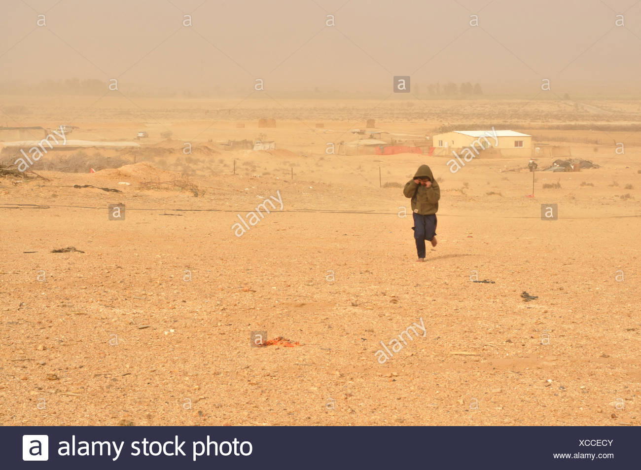 Israel Negev Desert Bedouin Man During A Desert Sand Storm Stock Photo Alamy