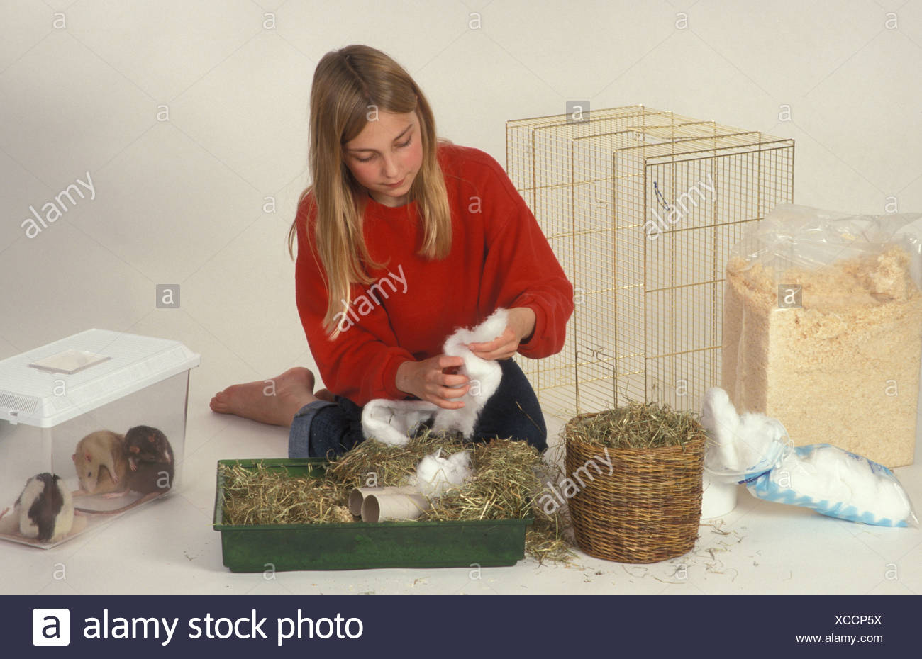 cleaning bunny cage