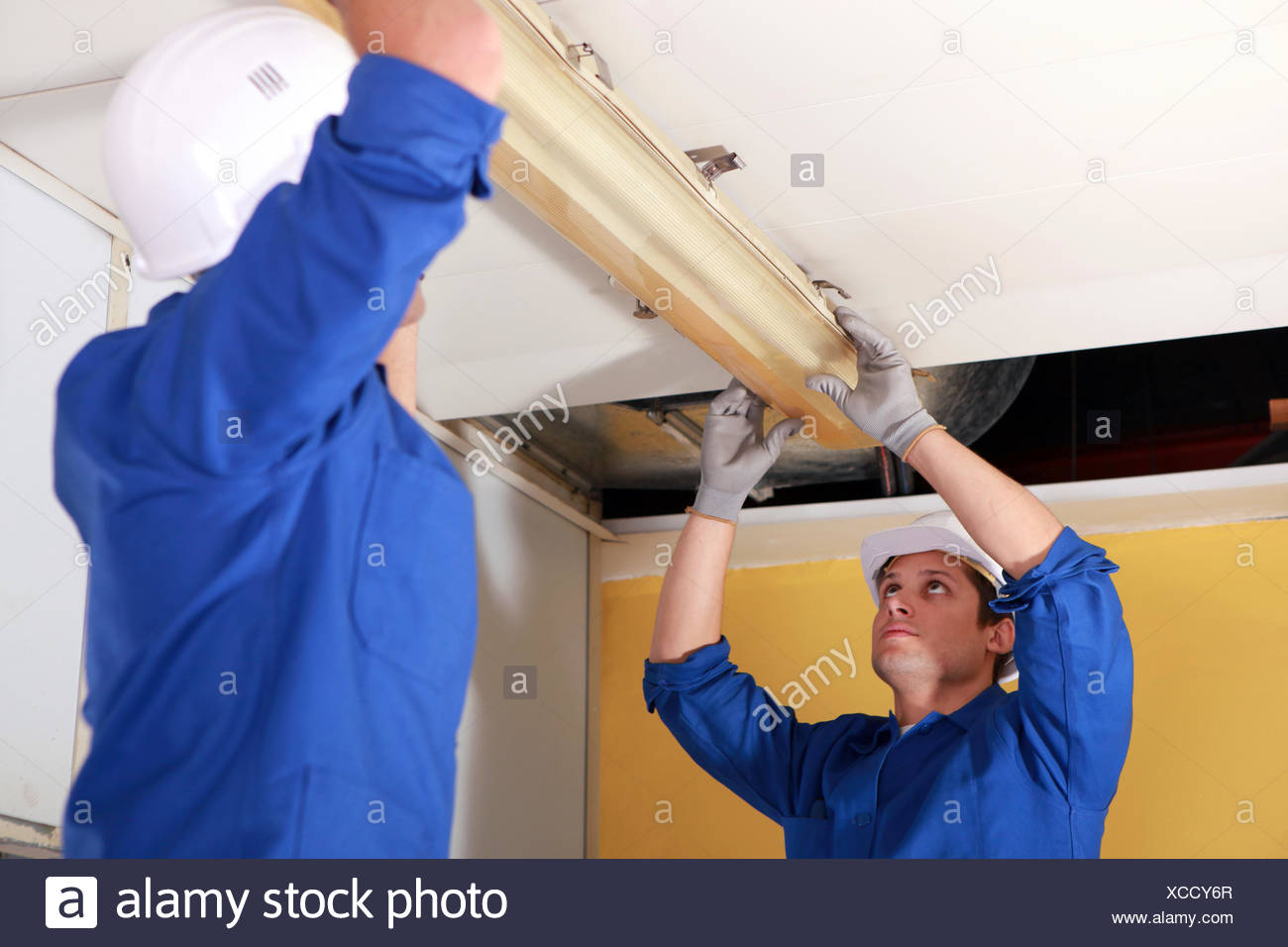 Electricians Fixing Neon On The Ceiling Stock Photo 283026543 Alamy