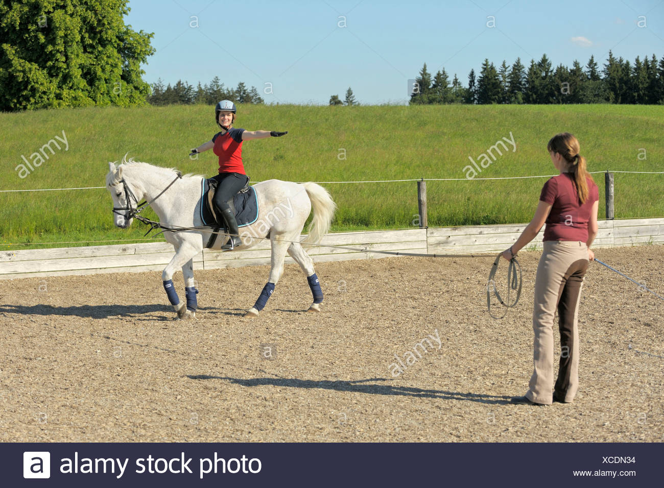 Lunging the adult rider book those on! Are Lunging the adult rider book opinion you