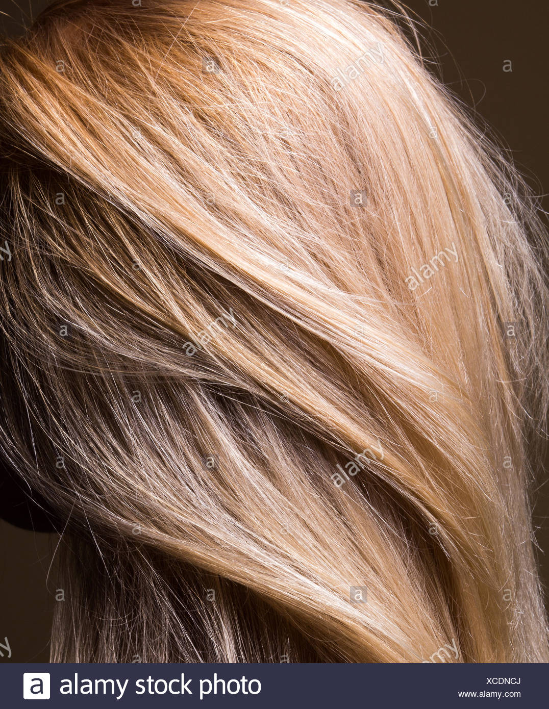 Closeup Shot Of Natural Healthy Blonde Hair Stock Photo 283043954