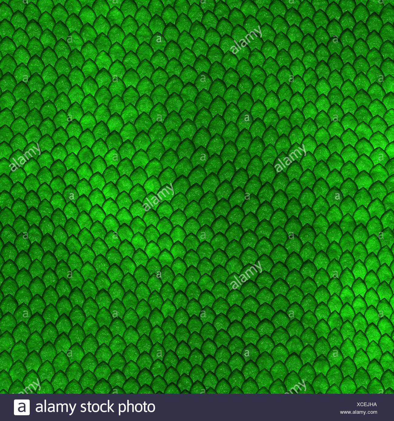 Fish Scale Pattern Vector Stock Photos & Fish Scale Pattern Vector ...