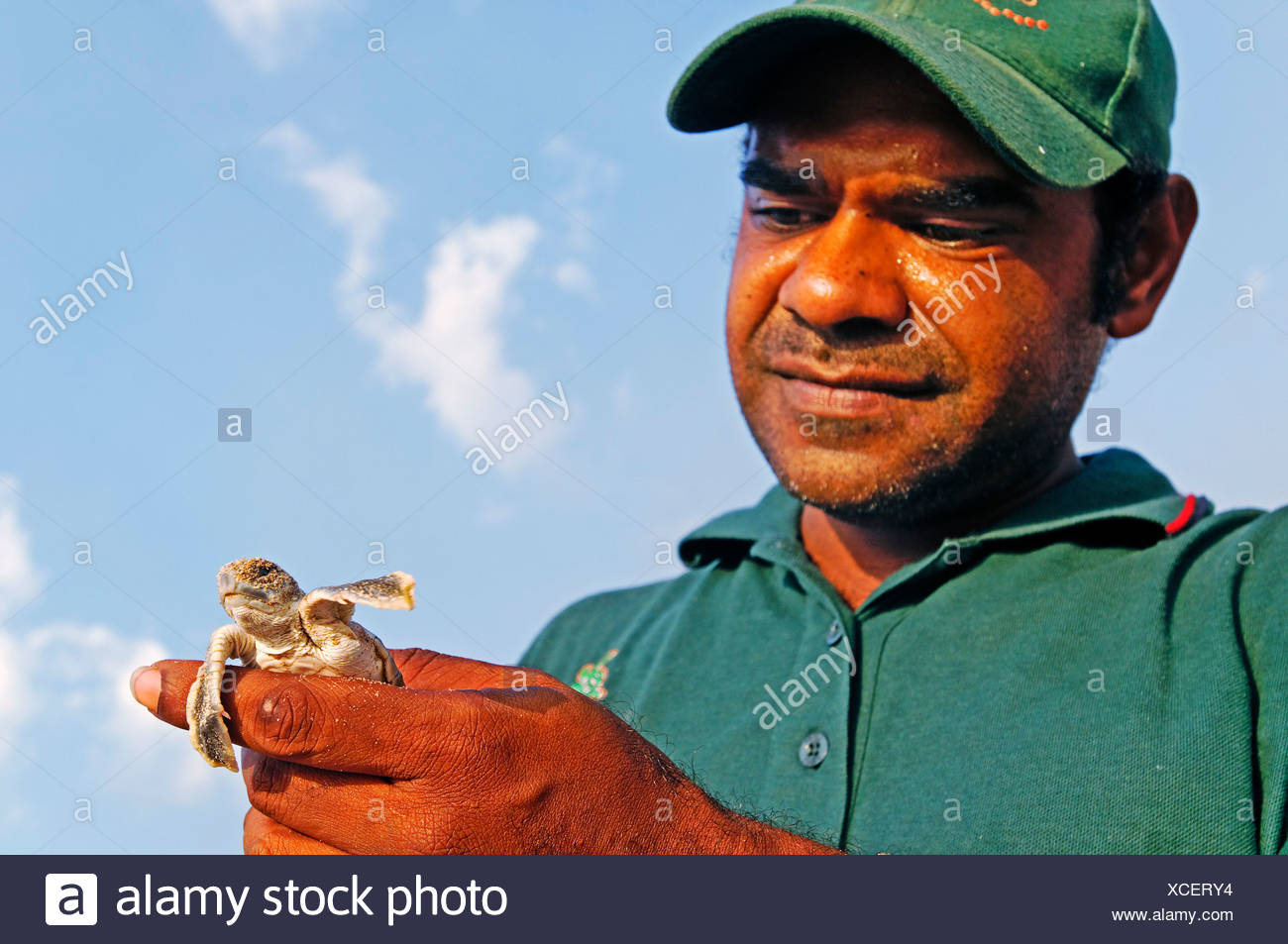 Cape York Aboriginal Stock Photos & Cape York Aboriginal Stock Images ...