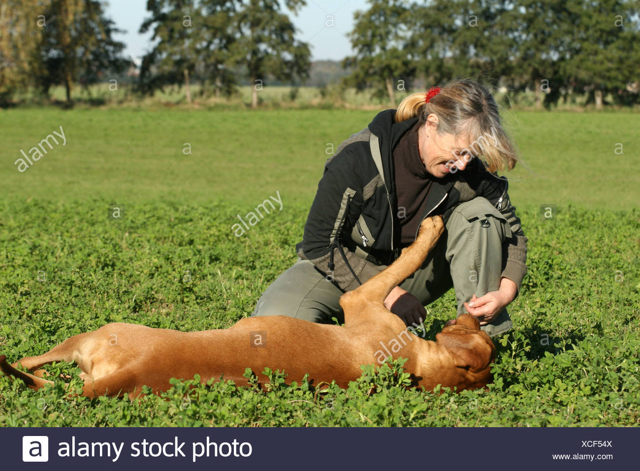Women Submissive High Resolution Stock Photography and Images - Alamy