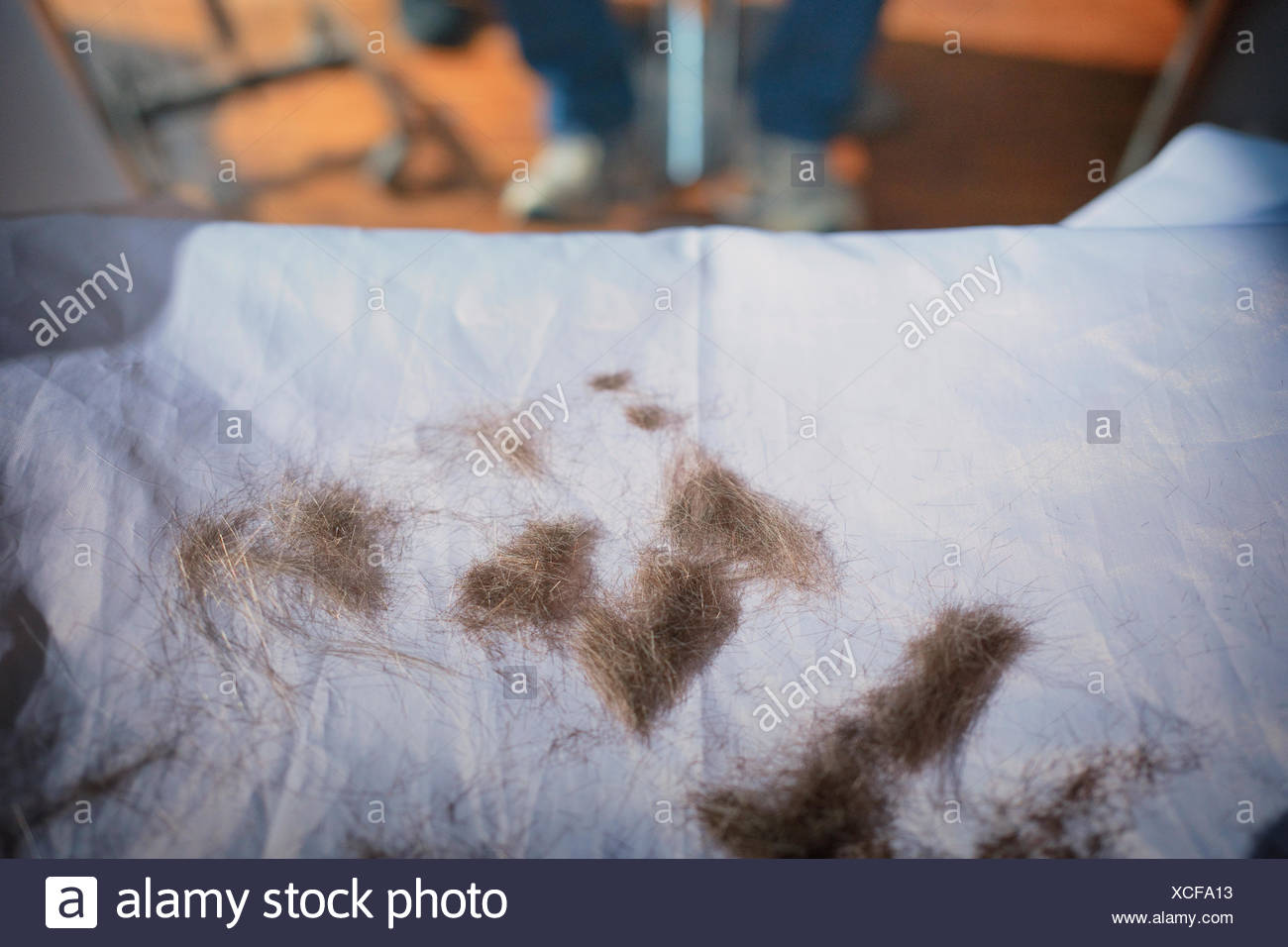 Cutting Off Hair High Resolution Stock Photography and Images Alamy