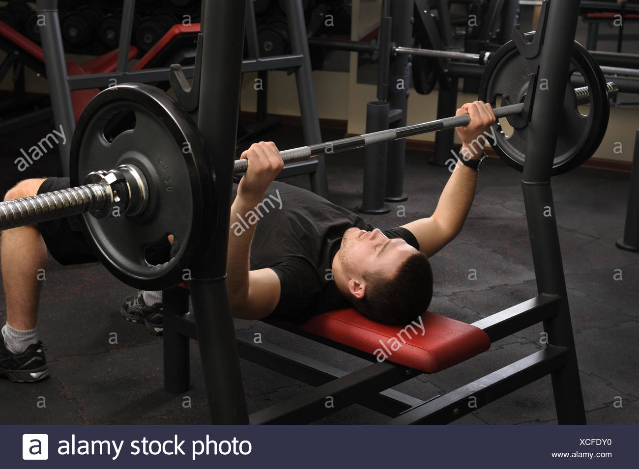 Young Man Doing Bench Press Workout In Gym Stock Photo 283081988