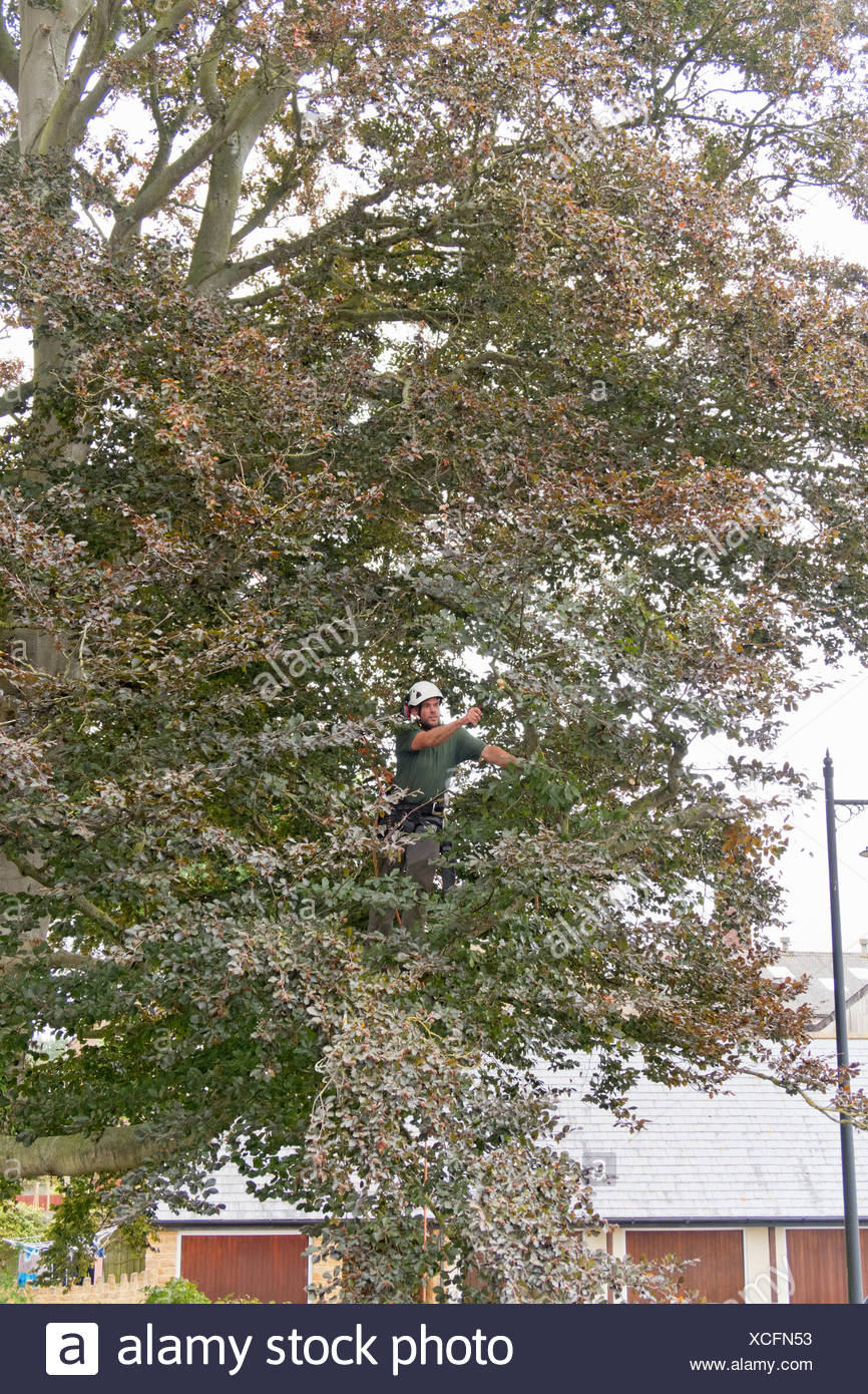 Copper Trim Stock Photos & Copper Trim Stock Images Alamy
