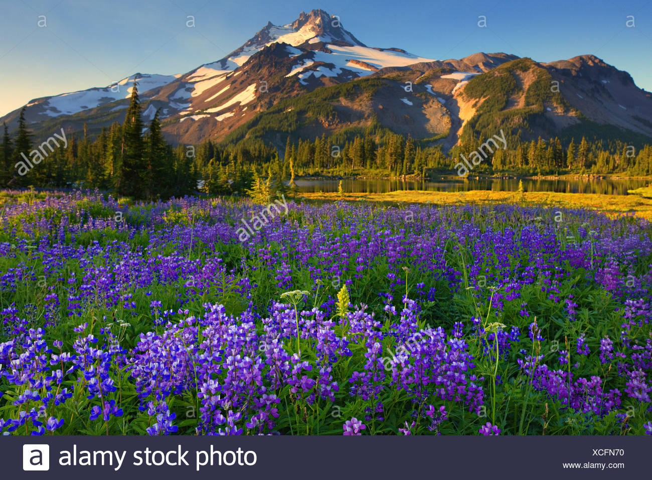 Bend Oregon Spring Stock Photos & Bend Oregon Spring Stock Images Alamy