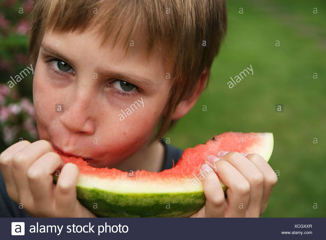 Male Child With Blonde Hair Wearing Black T Shirt Eating Large