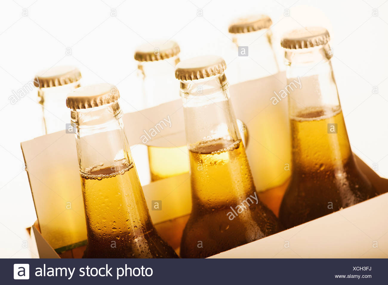beer six pack unfolder