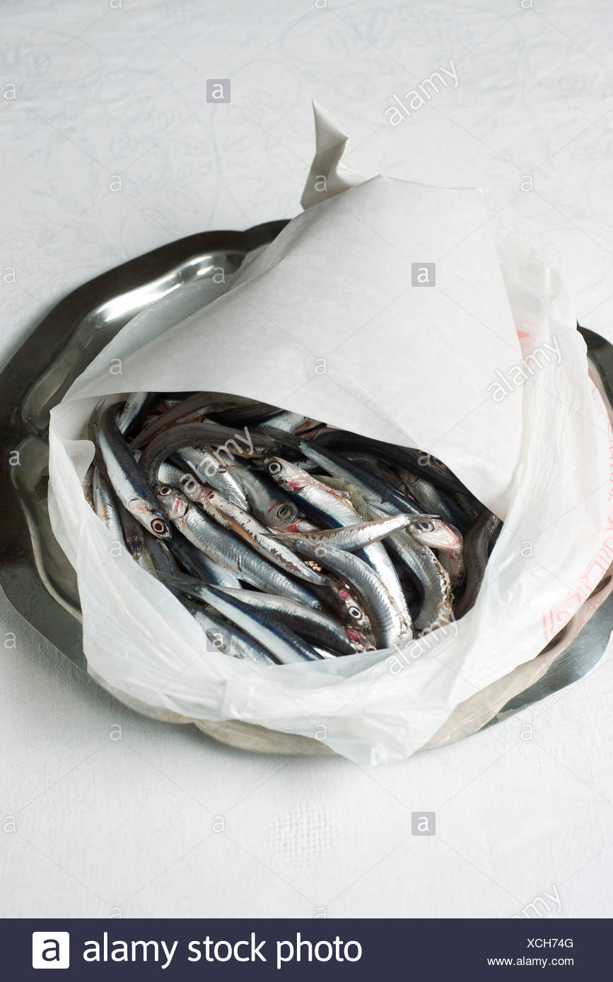 Download Fresh Raw Anchovies In Plastic Bag Stock Photo Alamy PSD Mockup Templates