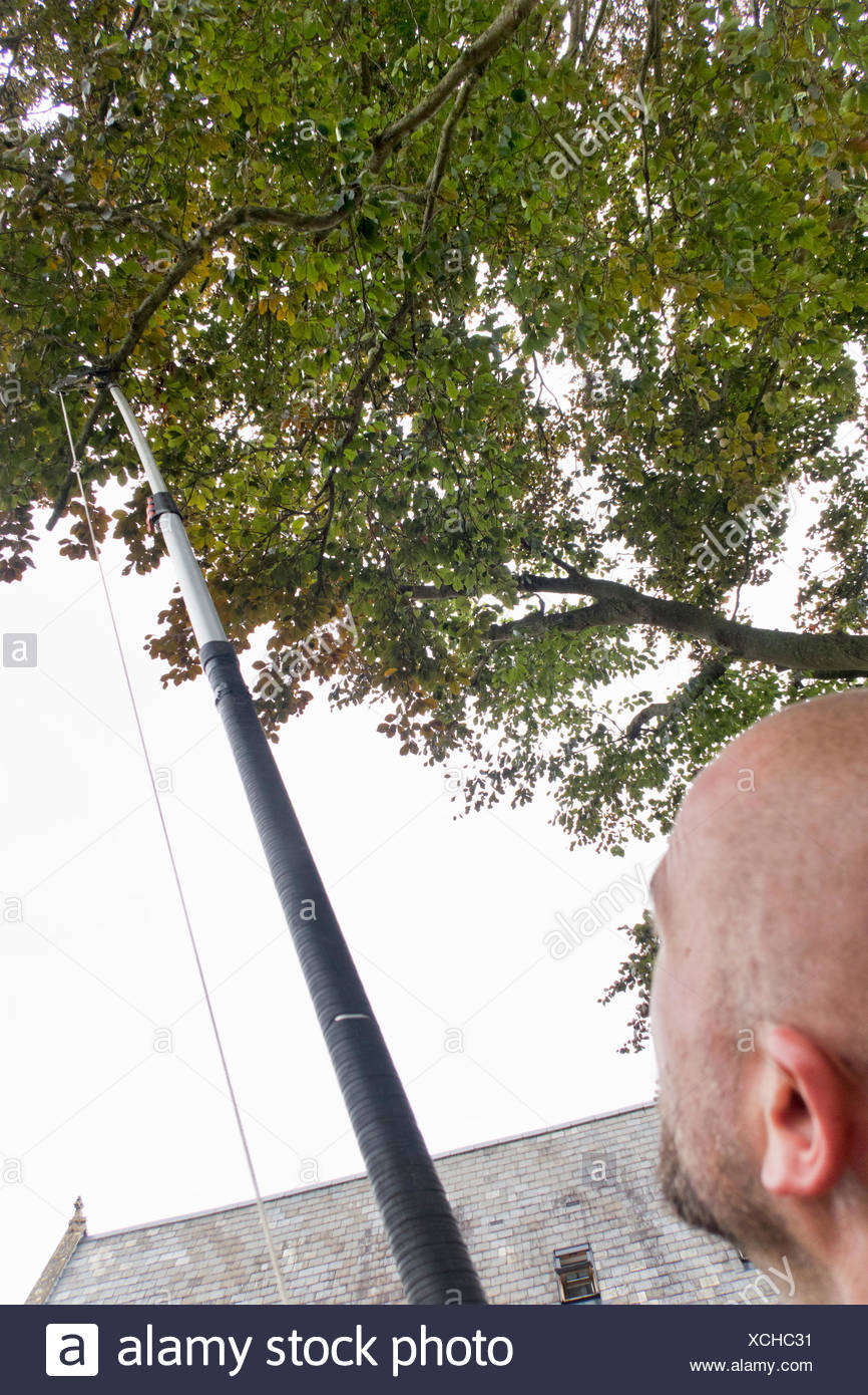 Long Pole Stock Photos & Long Pole Stock Images Alamy