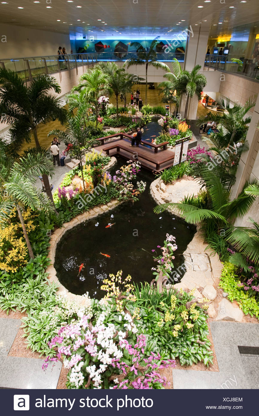 Orchid Garden In Changi Airport Singapore Indonesia Southeast