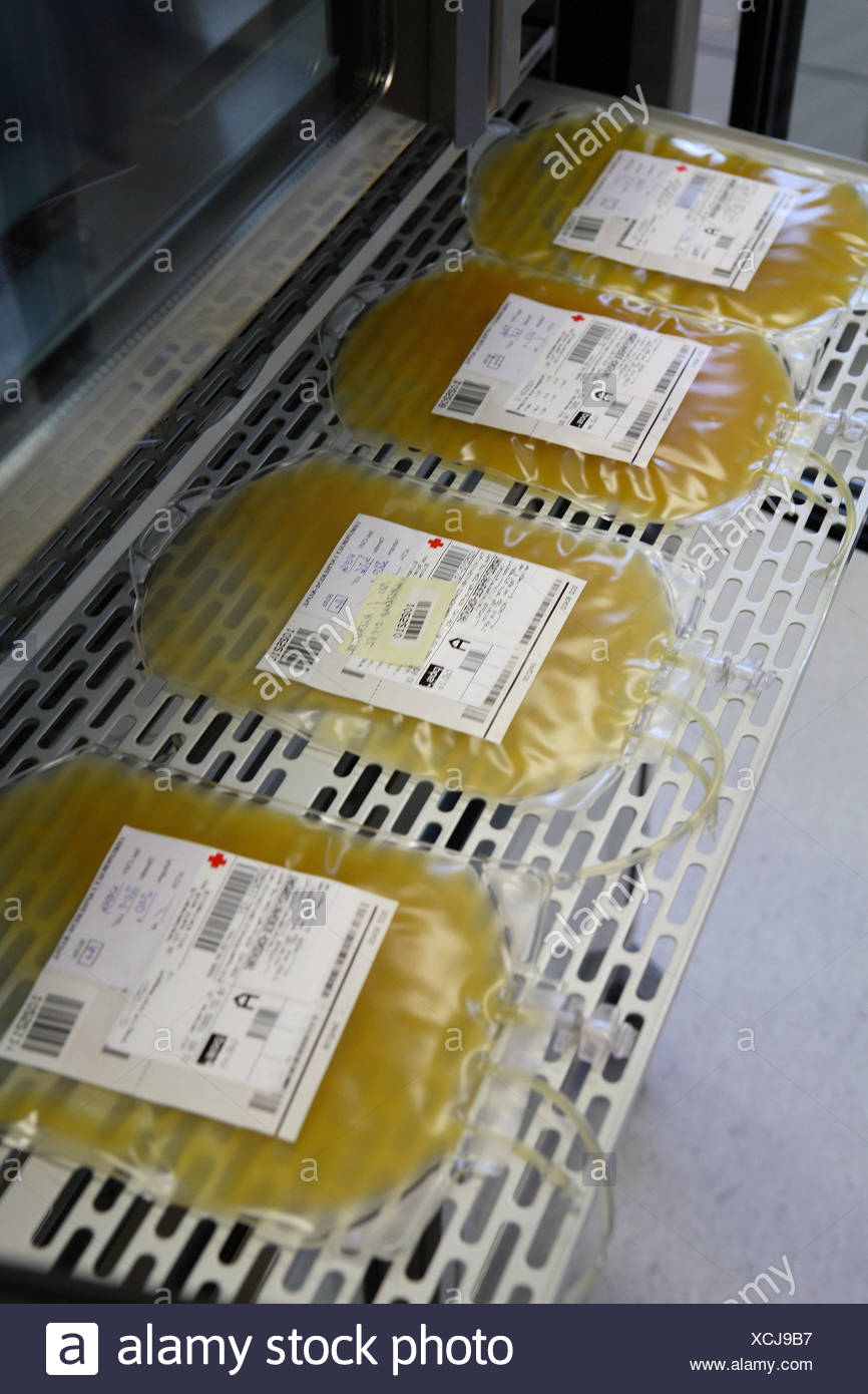 Blood Bag Blood Bank Stock Photos & Blood Bag Blood Bank Stock Images