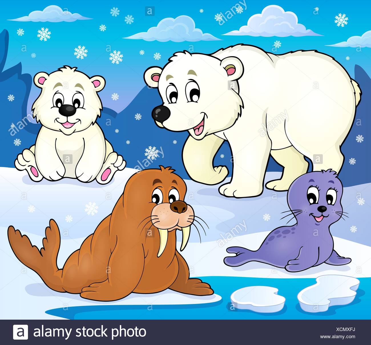 Baby Walrus Stock Photos & Baby Walrus Stock Images - Alamy