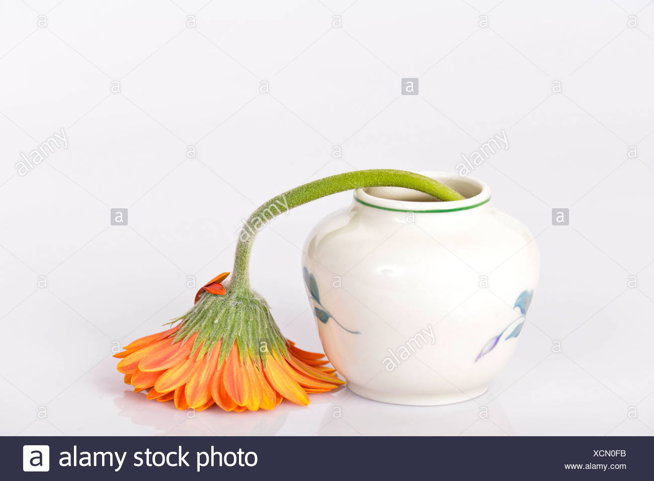 Drooping Flower Stock Photos & Drooping Flower Stock Images - Alamy