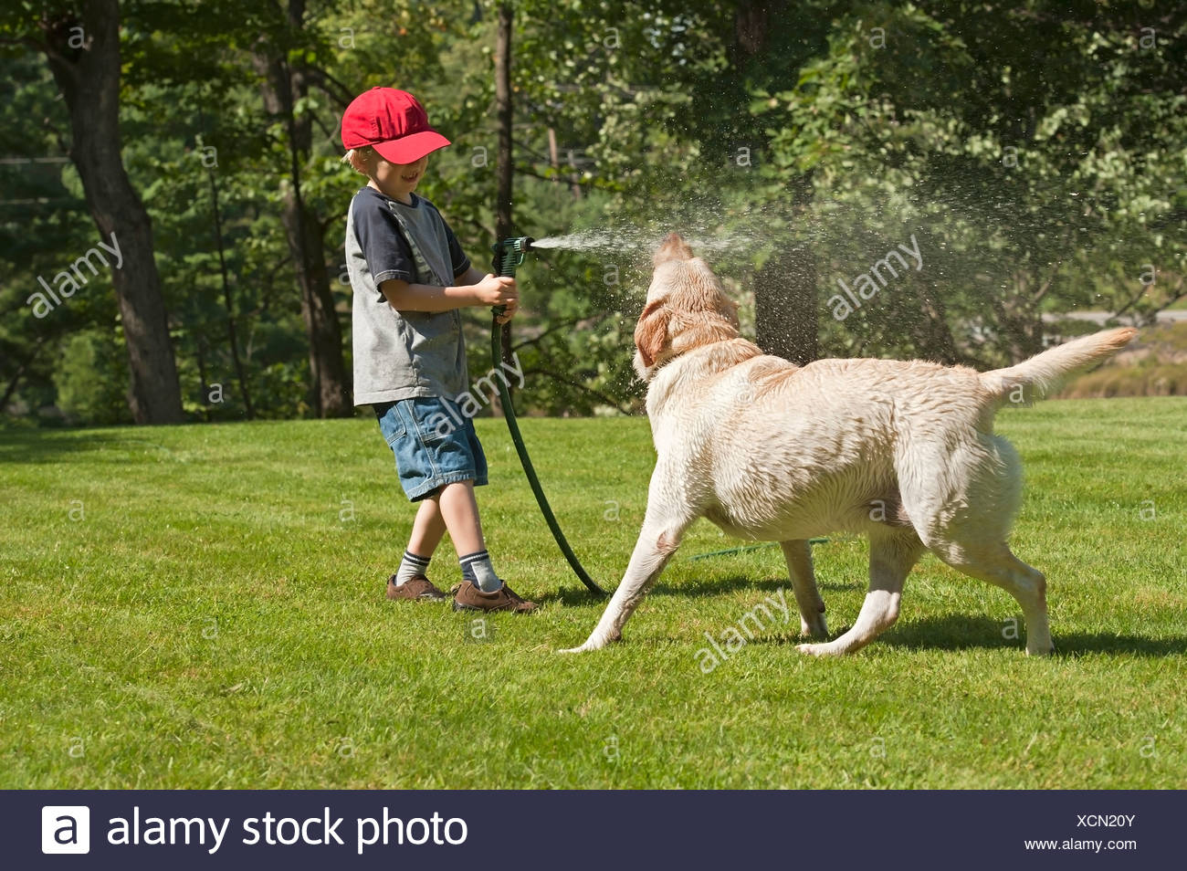 spraying dog with hose