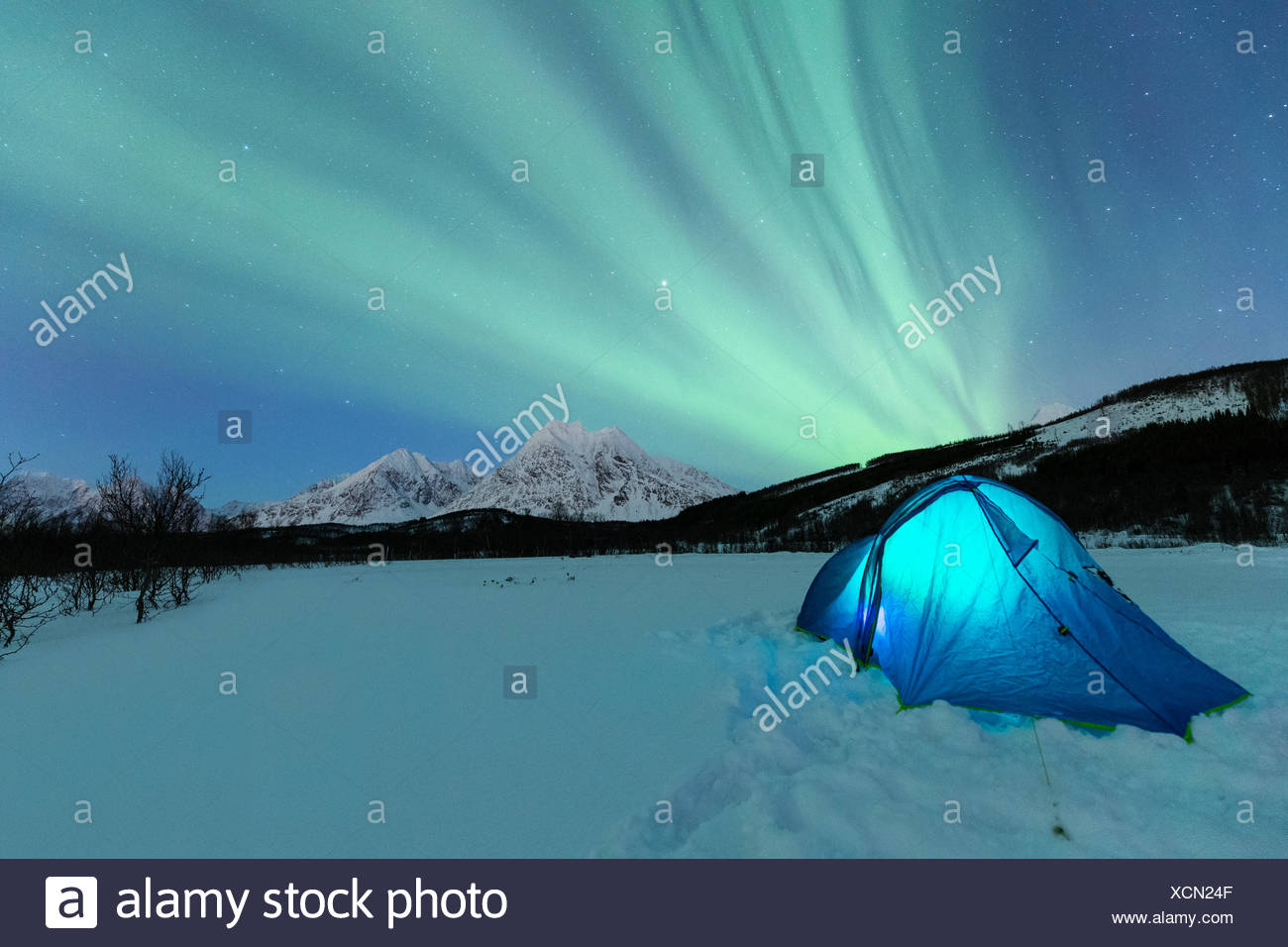Northern Lights Visible For Okanagan And Shuswap Sky Watchers Vernon Morning Star