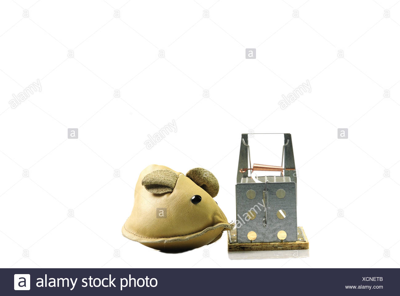mouse trap Stock Photo