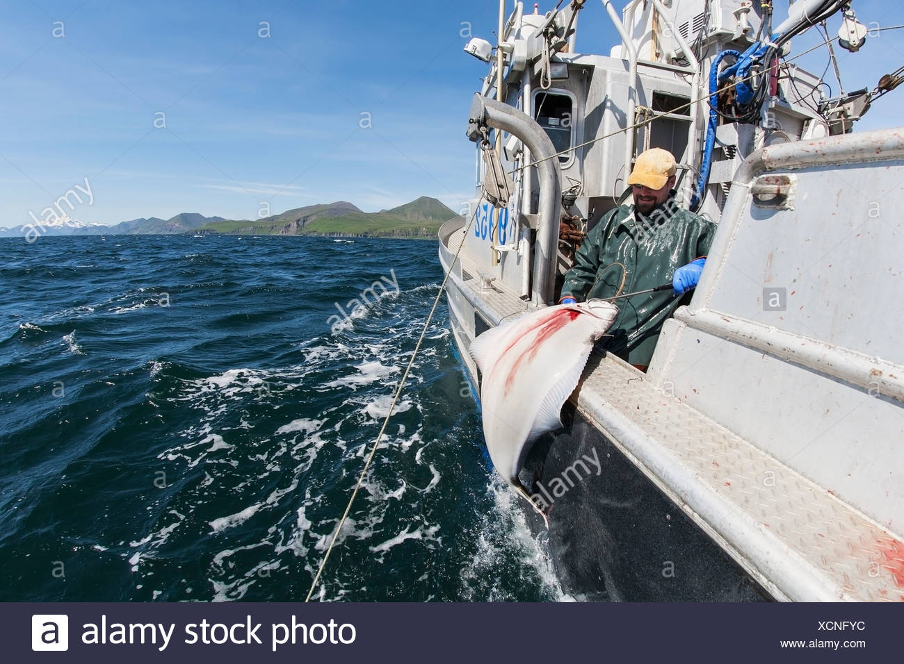 commercial longline fishing