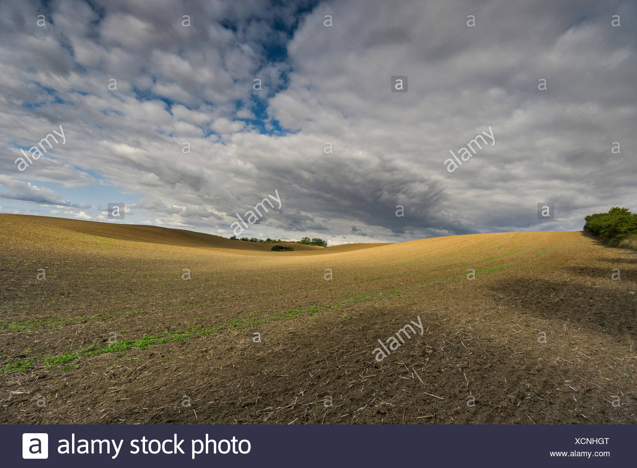 clouds on a harvested field,wandering shadow on the field and bizarre cloud formations Stock Photo