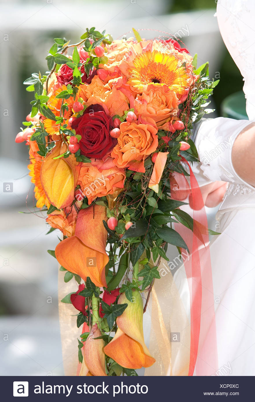 Bride Detail Hands Gloves Flower Bouquet Holding Sidewards Woman Young White Wedding Wedding Anniversary Bridal Bouquet Flowers Stock Photo Alamy