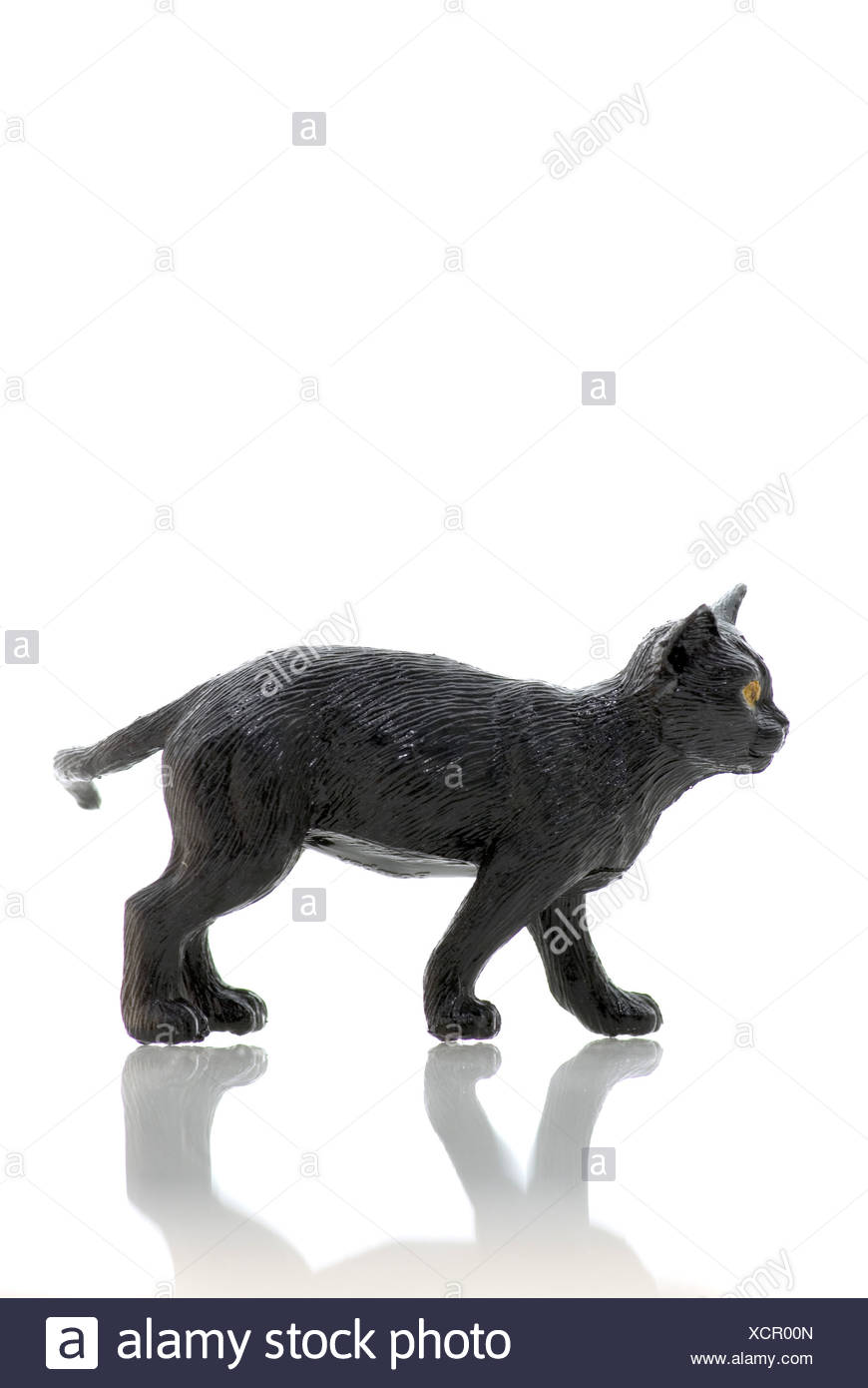 Cat Full Body High Resolution Stock Photography and Images - Alamy