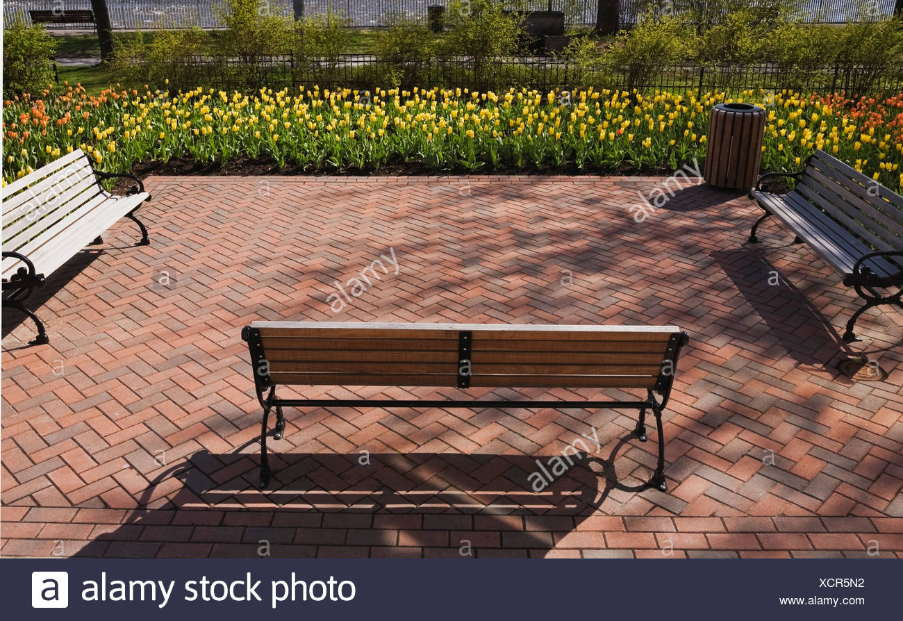 Park Benches By Tulip Beds In A Public Garden At Springtime