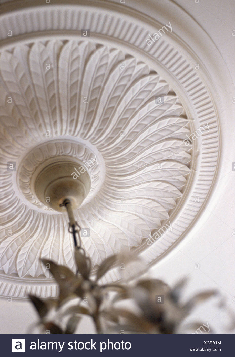 Looking Up At Ornate White Plasterwork Victorian Ceiling