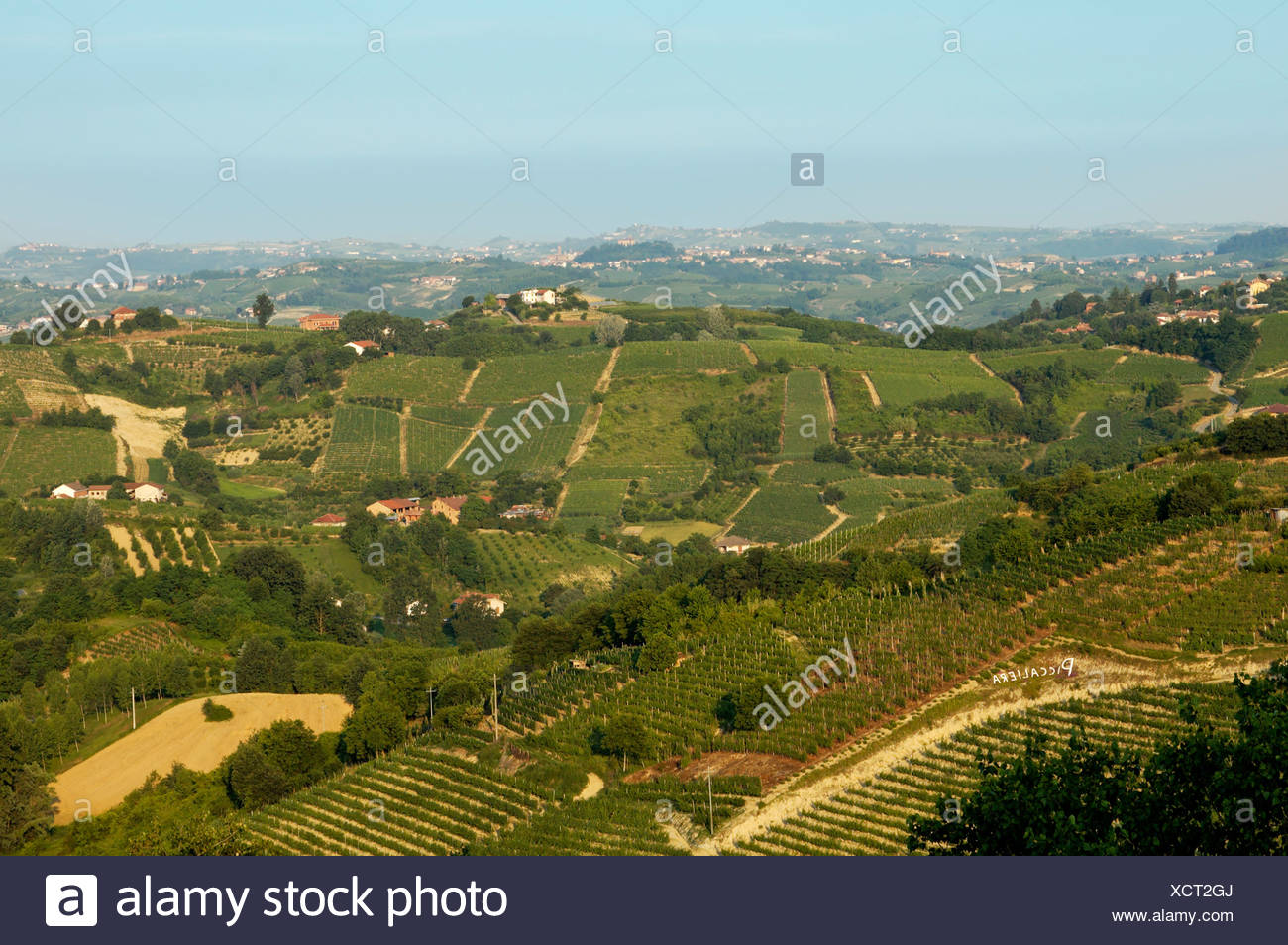 Near Cisterna d´ Asti at the Roero Piedmont Italy in the vineyards Stock Photo