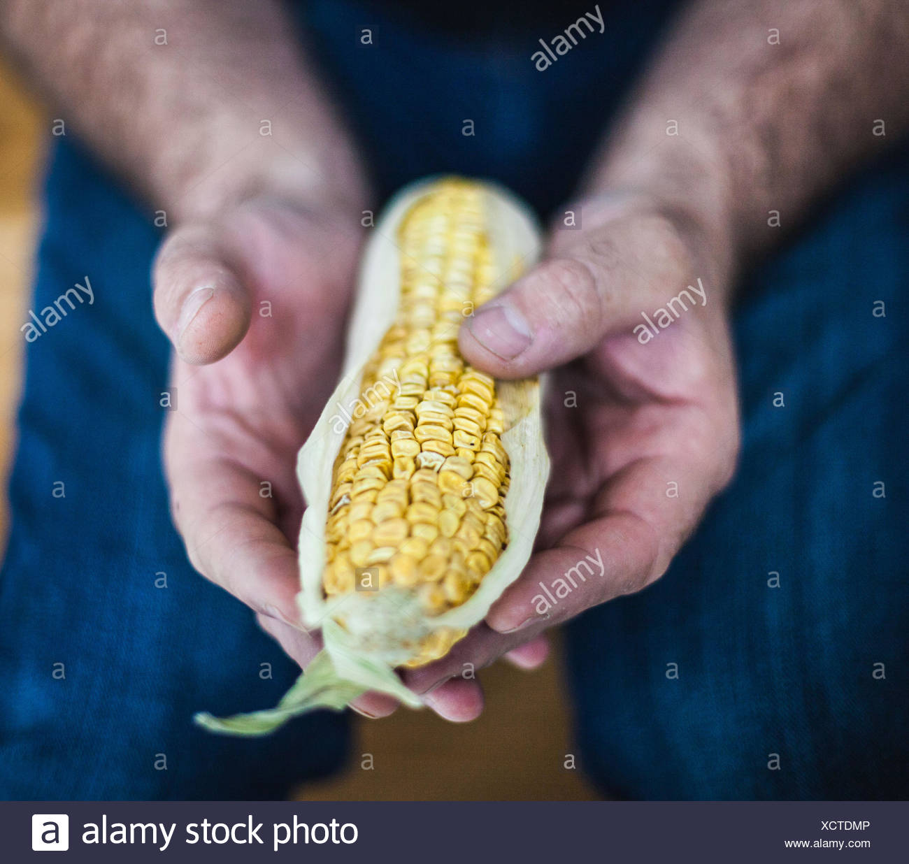 Man Eating Corn On The Cob Stock Photos & Man Eating Corn On The Cob