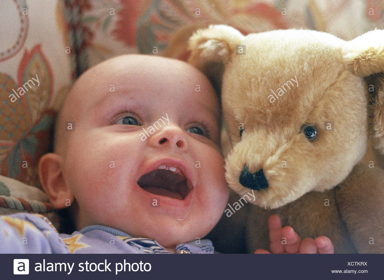 baby teeth teddy bear