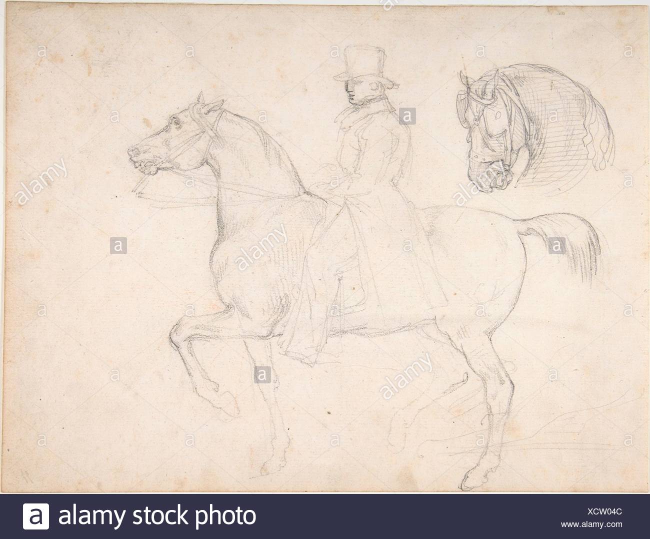 Drawing Of Man On Horse High Resolution Stock Photography And Images Alamy