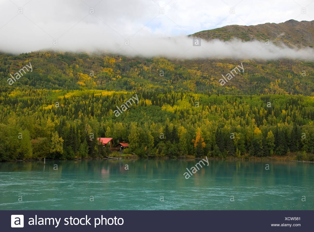 Beautiful Kenai River In Fall Colors Cabin Located Near The Kenai