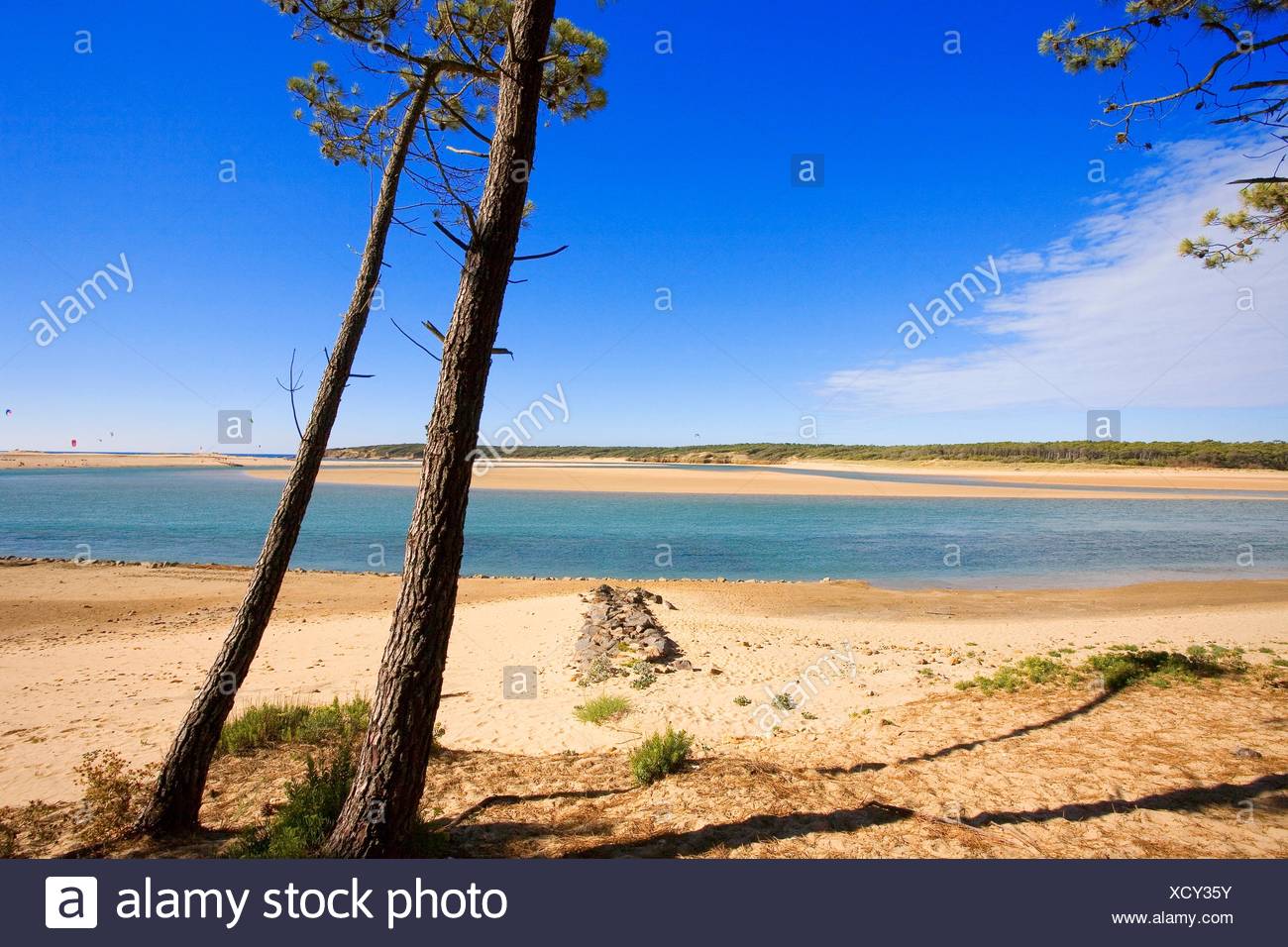 Jard Stock Photos Jard Stock Images Page 3 Alamy