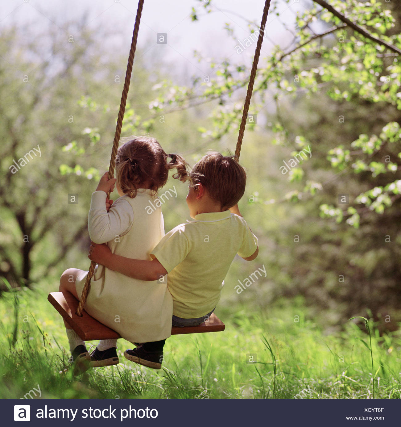 Young Boy And Sister Swinging On A Tree Swing For Two Stock