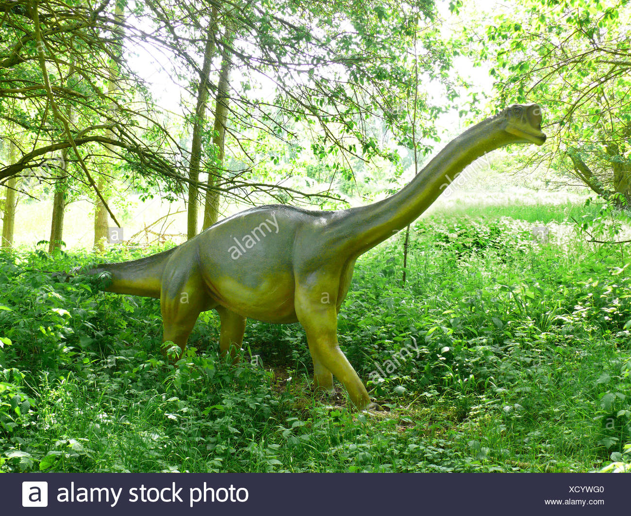 Europasaurus Holgeri High Resolution Stock Photography and Images - Alamy