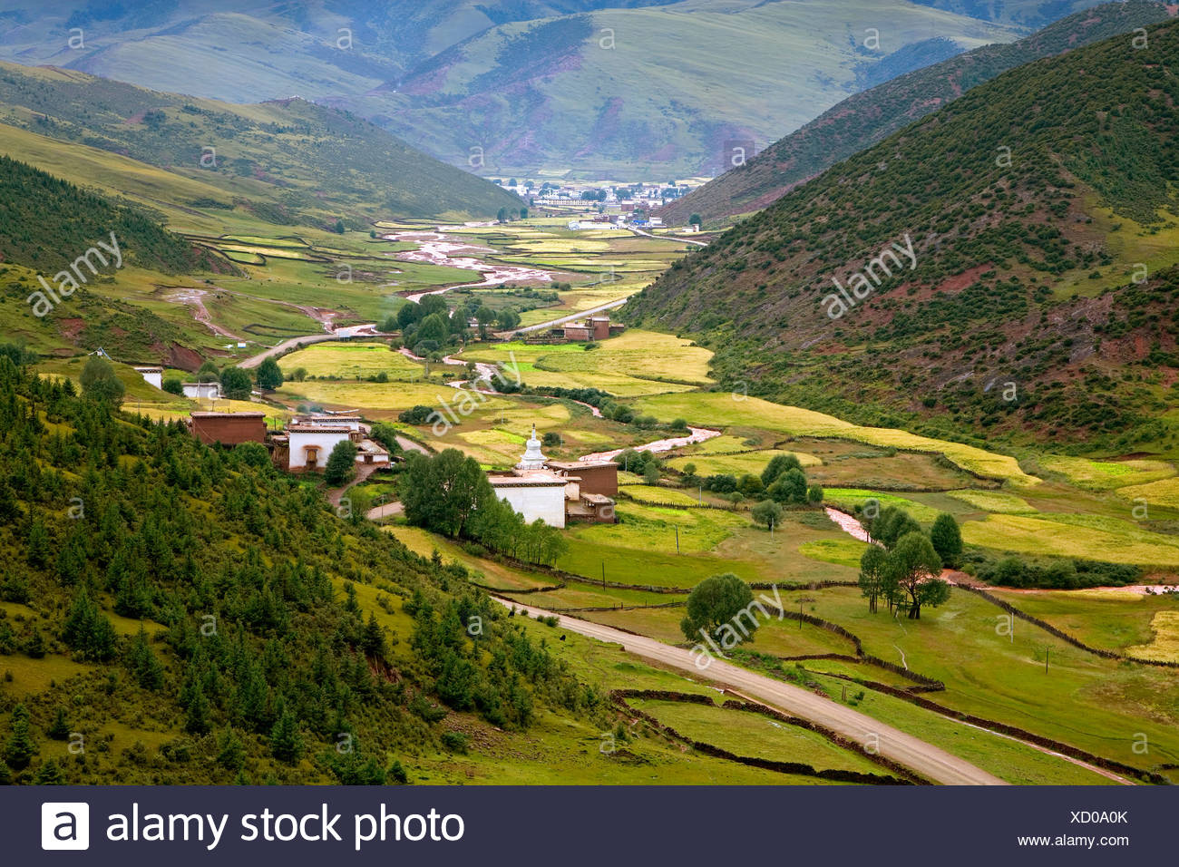 Nature scenics in Tibet,China Stock Photo - Alamy