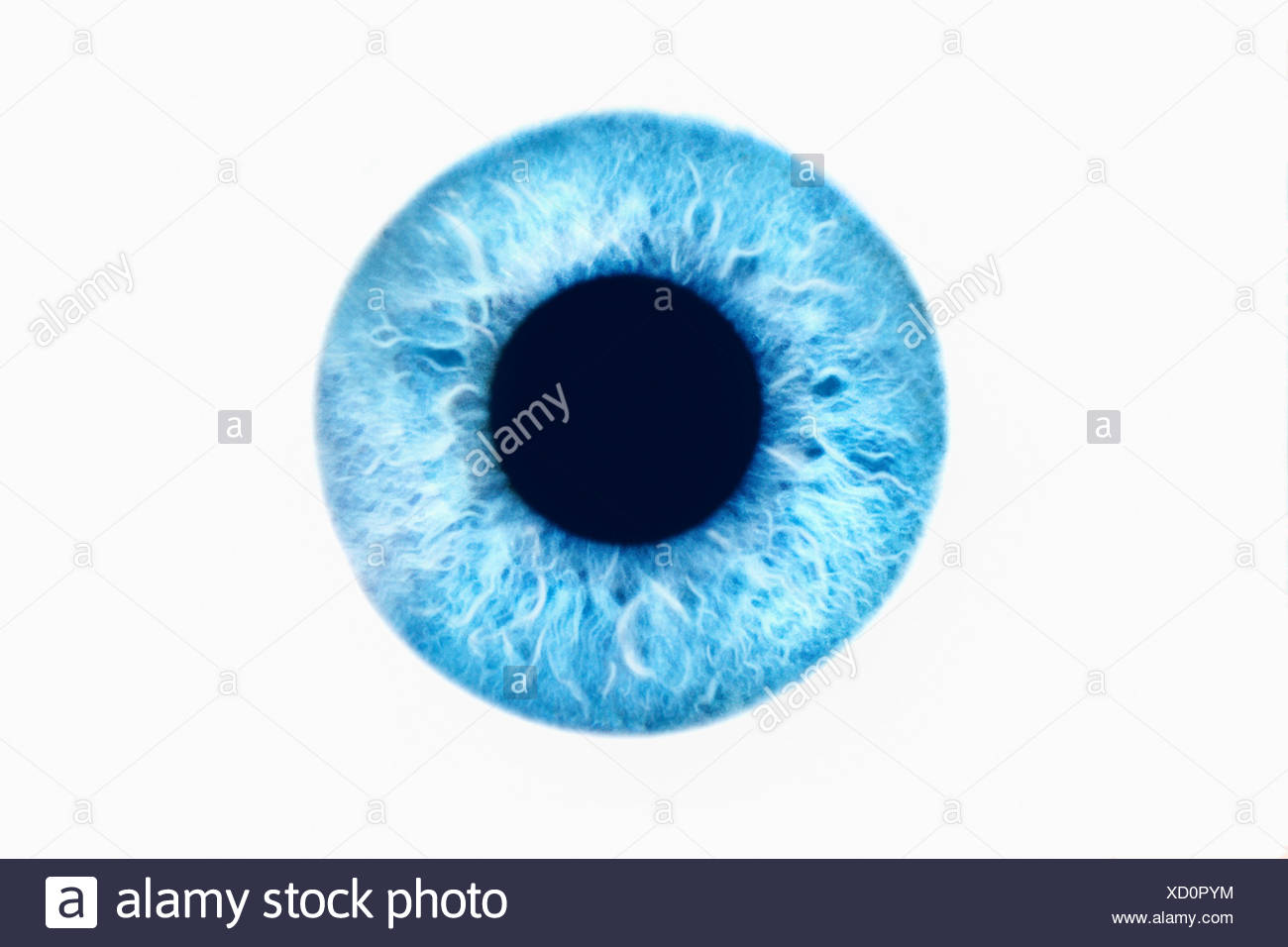 Unduh 9300 Background Blue Eyes Gratis Terbaru