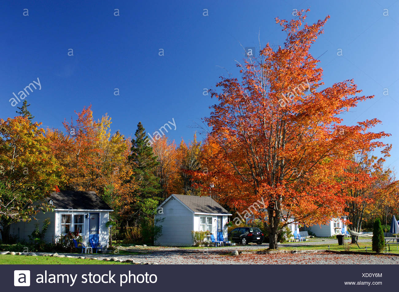 Isleview Motel Cottages Houses Homes Hotel Autumn Spending The