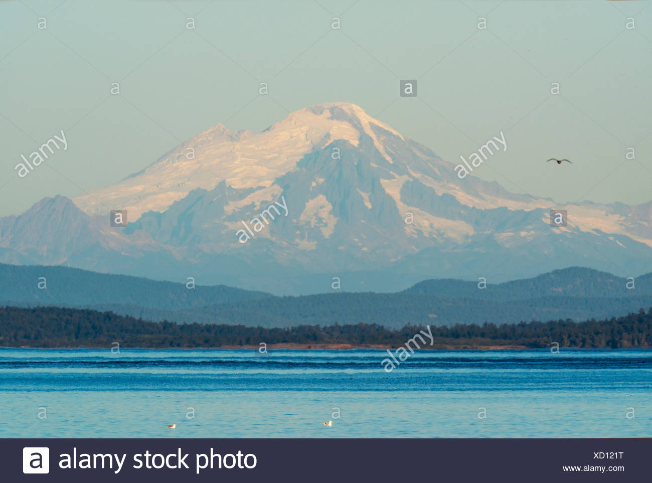View Of Mount Baker From Canada Stock Photos & View Of Mount Baker From