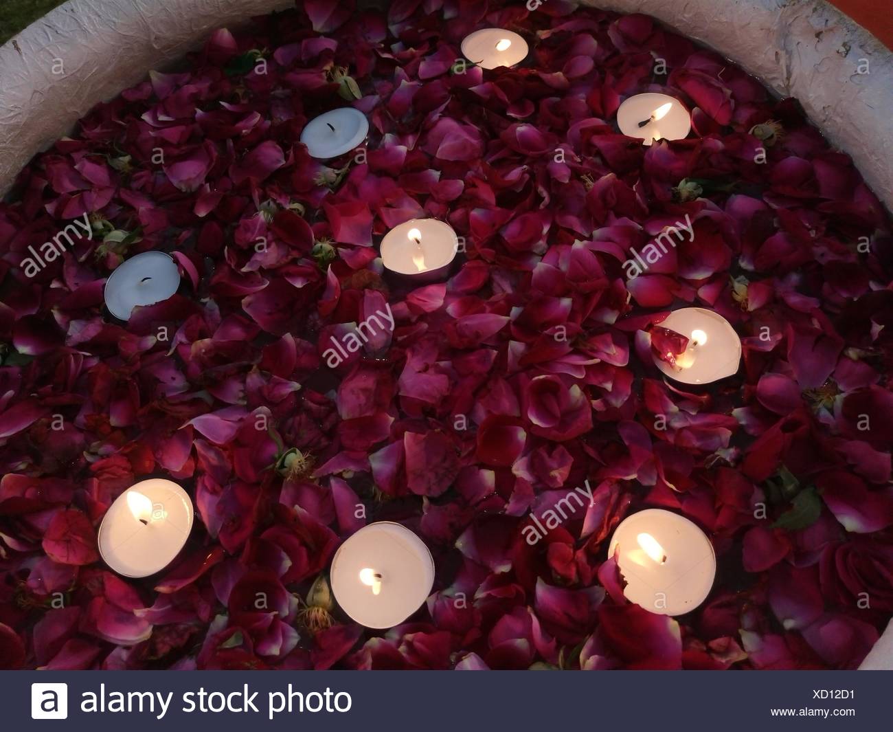 Directly Above Shot Of Lit Tea Light Candles Amidst Rose Petals Stock Photo Alamy Directly Above Shot Of Lit Tea Light Candles Amidst Rose Petals Stock Photo Alamy