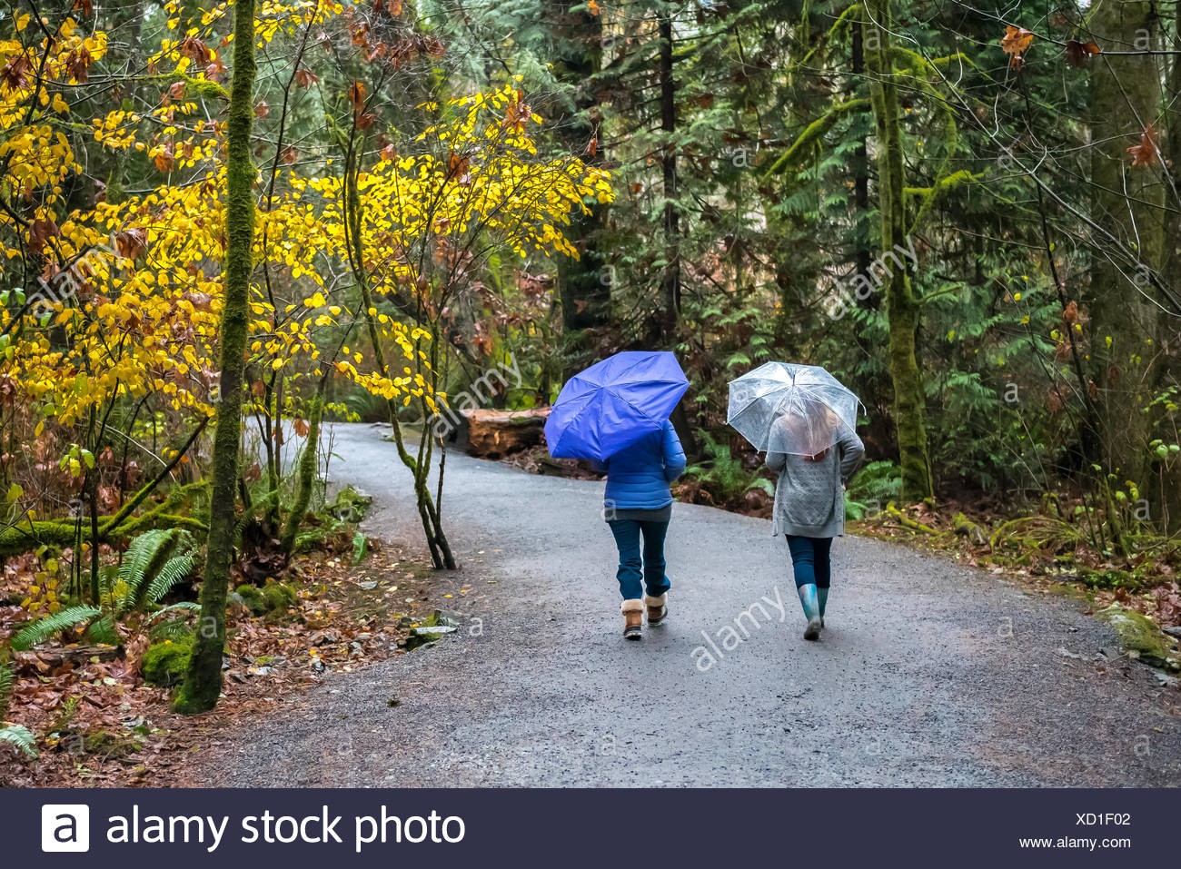 Jogging While Raining Running Rain Jogging Exercise High Resolution Stock Photography and ...